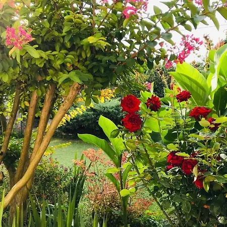 Au Boom Coeur - Petit Dejeuner Inclus - En Option Tourtenay