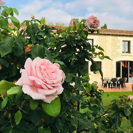 Nocleg ze śniadaniem Au Boom Coeur - Petit Dejeuner Inclus - En Option