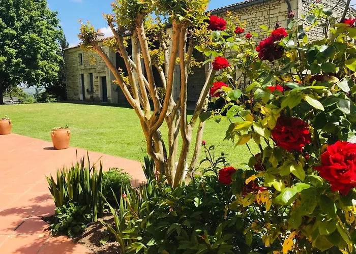 Au Boom Coeur - Petit Déjeuner Inclus - En Option Bed and breakfast Tourtenay