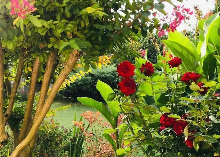 Au Boom Coeur - Petit Déjeuner Inclus - En Option Tourtenay